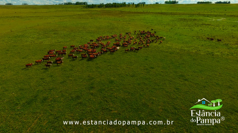 DOS EÓLICOS VIRA P FAZENDA_Moment.00_10_22_00.Quadro286_f3a1ced7e55a2233ff144be7bfb4d6b72dd2e008.jpg